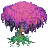 Ilara's Tree